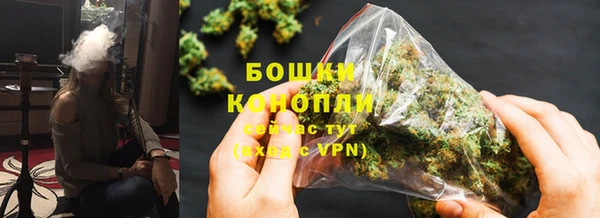 Альфа ПВП Аркадак