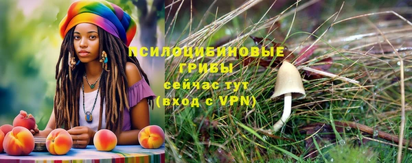 бошки Армянск