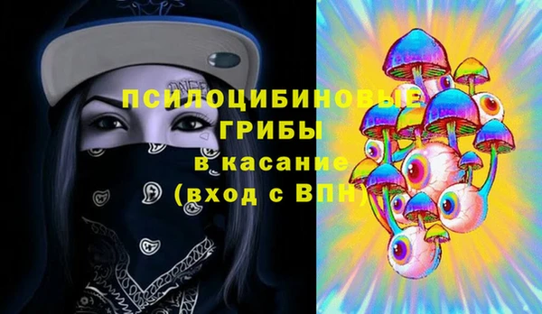 бошки Армянск