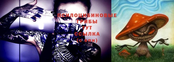 Альфа ПВП Аркадак