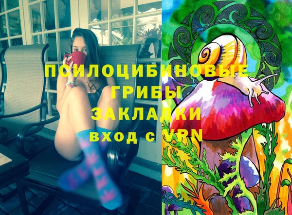 Альфа ПВП Аркадак