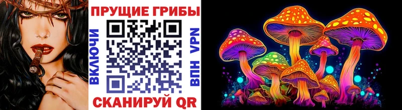 где продают наркотики  Нижняя Салда  Псилоцибиновые грибы Cubensis 